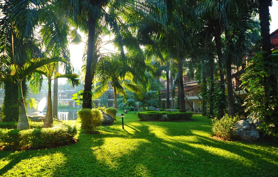 Superior Room Garden View