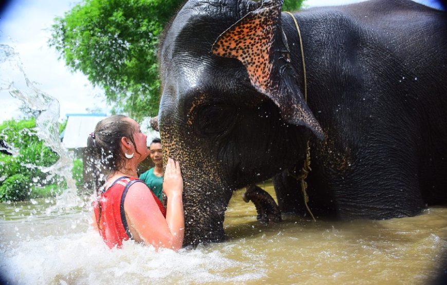 Elephant Jungle Sanctuary Phuket