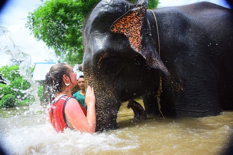 Elephant Jungle Sanctuary Phuket