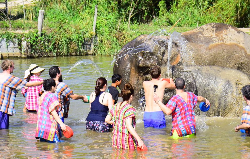 Elephant Jungle Sanctuary Pattaya