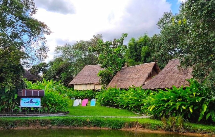 Elephant POOPOOPaper Park