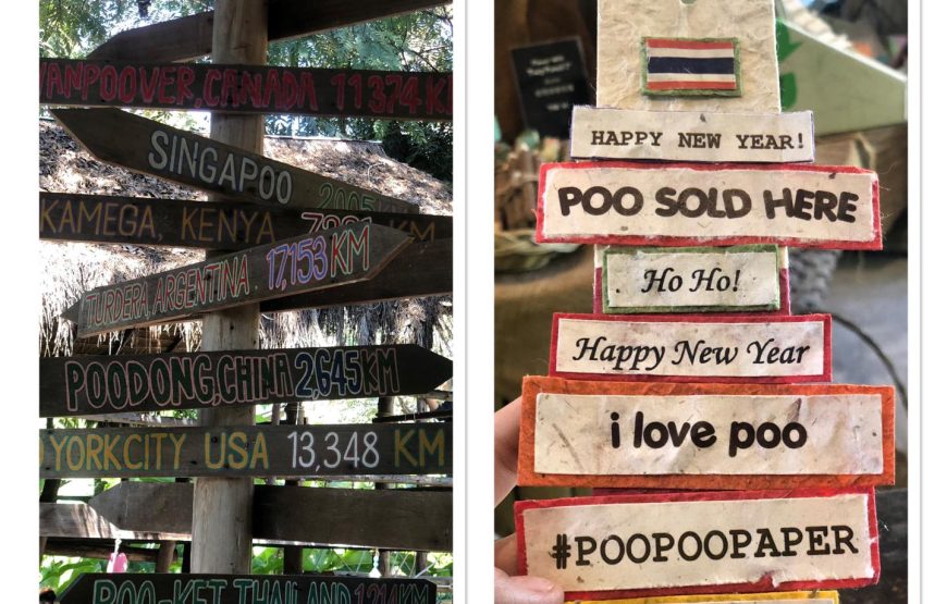 Elephant POOPOOPaper Park