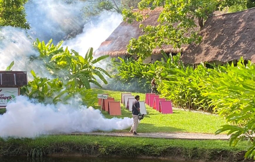 Elephant POOPOOPaper Park