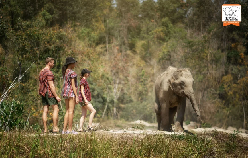 Elephant Jungle Sanctuary – Chiang Mai