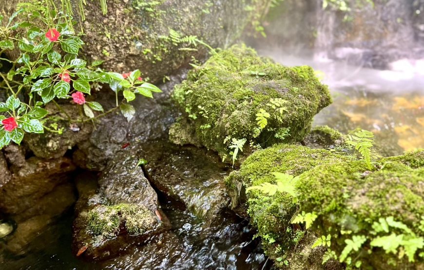 [เชียงราย] หมู่บ้านกะเหรี่ยง5ชนเผ่า ลลิตา วัดพระสิงห์ วัดพระแก้ว