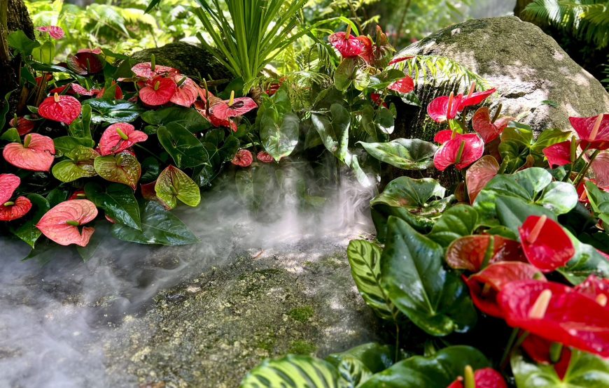 [เชียงราย] หมู่บ้านกะเหรี่ยง5ชนเผ่า ลลิตา วัดพระสิงห์ วัดพระแก้ว