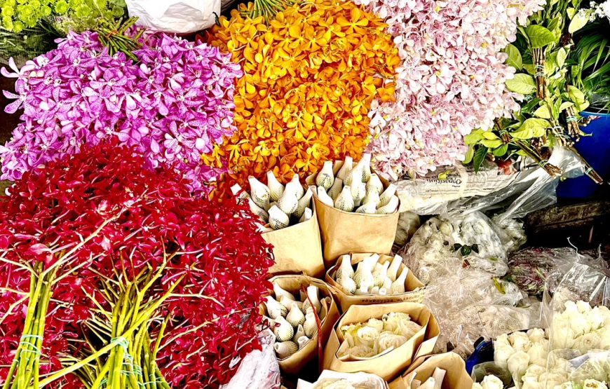 วัดอรุณราชวราราม วัดกัลยาณมิตร สะพานพุทธ ปากคลอง อีเกิ้ลเนส