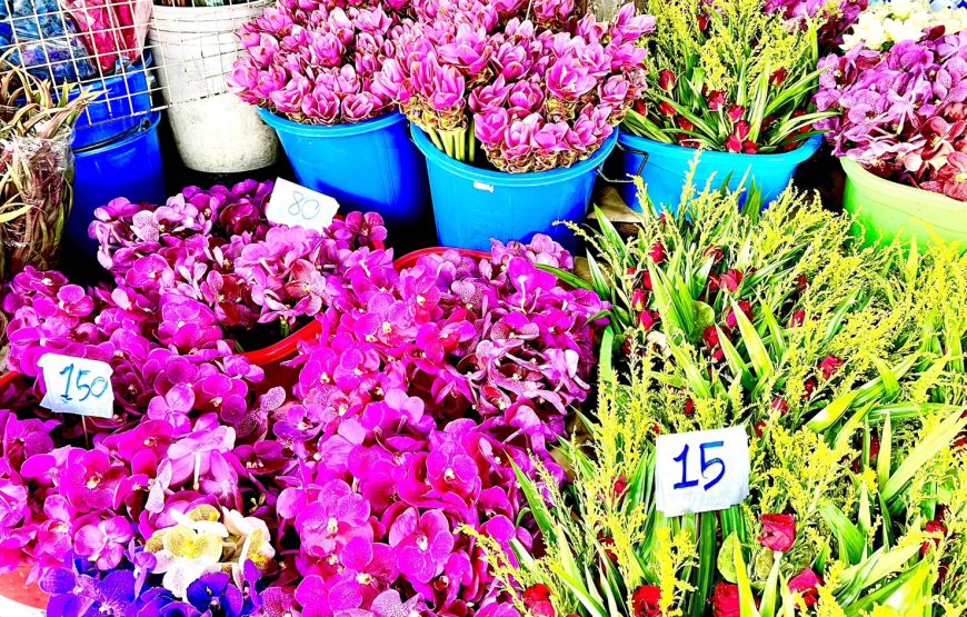 วัดอรุณราชวราราม วัดกัลยาณมิตร สะพานพุทธ ปากคลอง อีเกิ้ลเนส