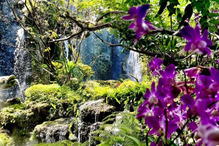 [เชียงราย] วัดร่องขุ่น วัดร่องเสือเต้น ลลิตา