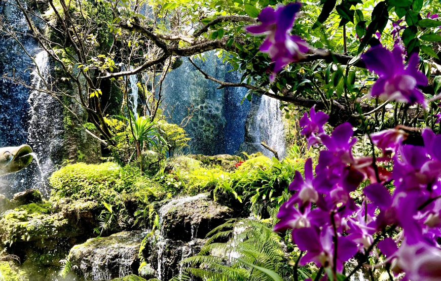 [เชียงราย] กาดหลวง วัดพระแก้ว วัดร่องเสือเต้น ลลิตา
