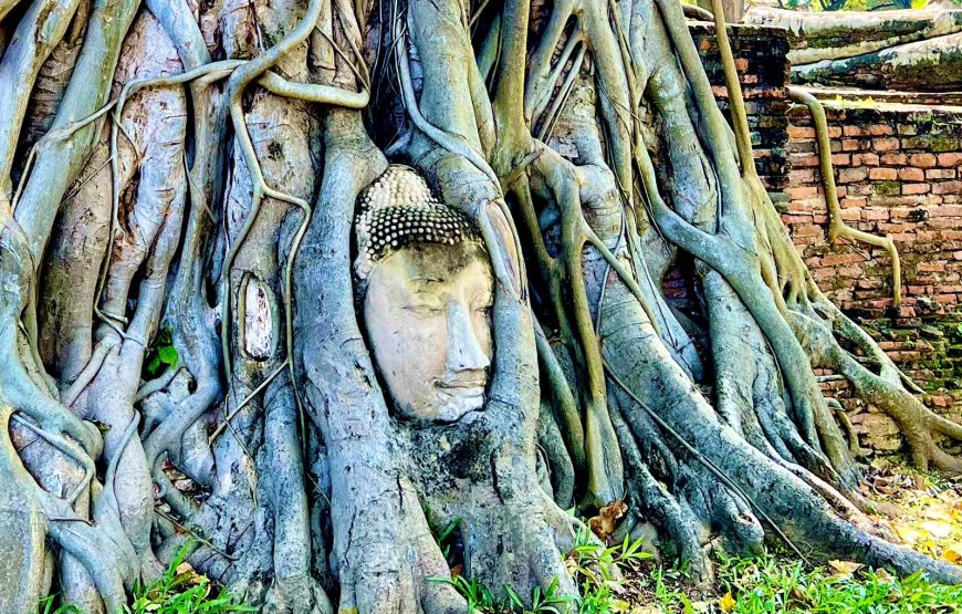 [อยุธยา] วัดมหาธาตุ วัดพระศรีสรรเพชญ์ ตลาดกุ้ง