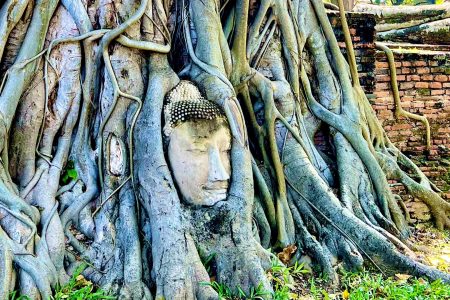 วัดมหาธาตุ วัดใหญ่ชัยมงคล ตลาดกุ้ง