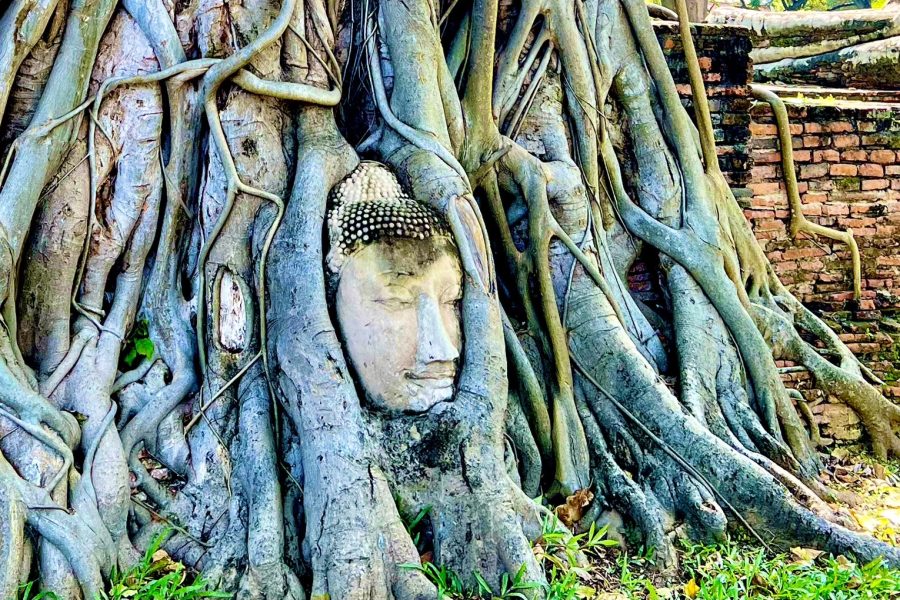 วัดมหาธาตุ วัดใหญ่ชัยมงคล ตลาดกุ้ง