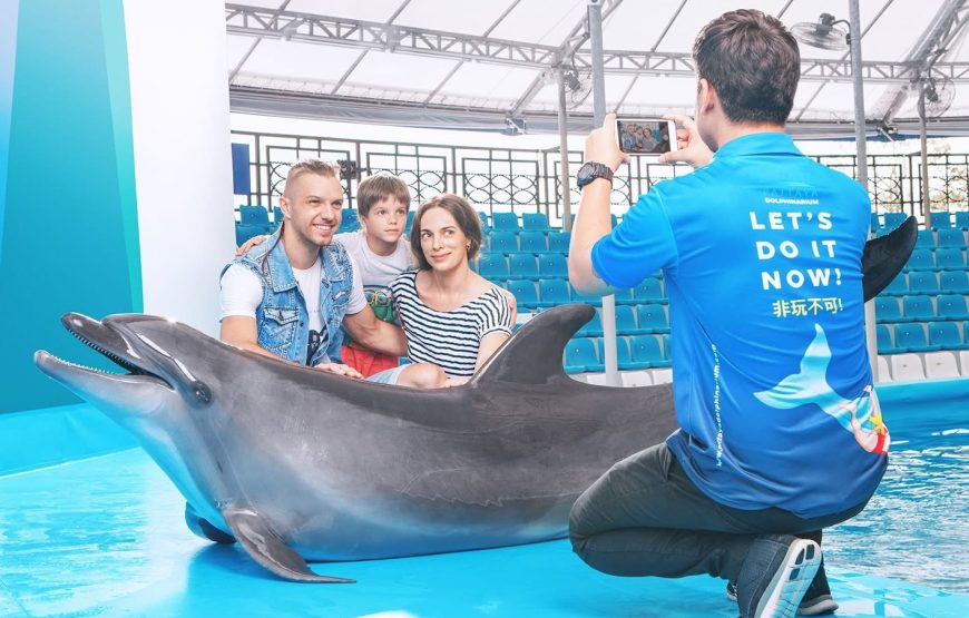 Pattaya Dolphinarium