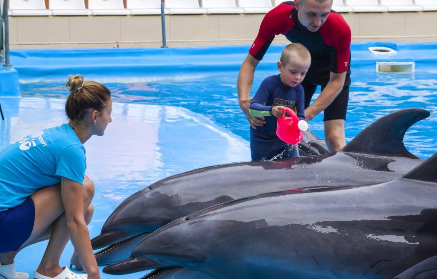 Pattaya Dolphinarium