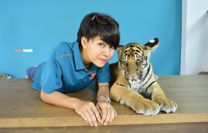 ไทเกอร์ปาร์ค