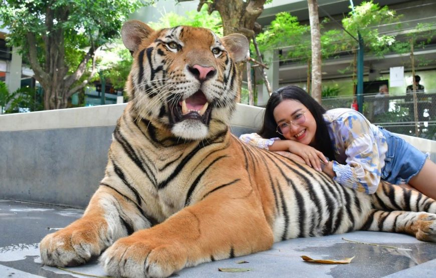 ไทเกอร์ปาร์ค