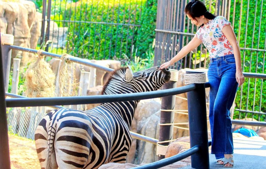 Hua-Hin Safari & Adventure Park