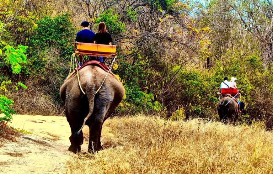 Hua-Hin Safari & Adventure Park