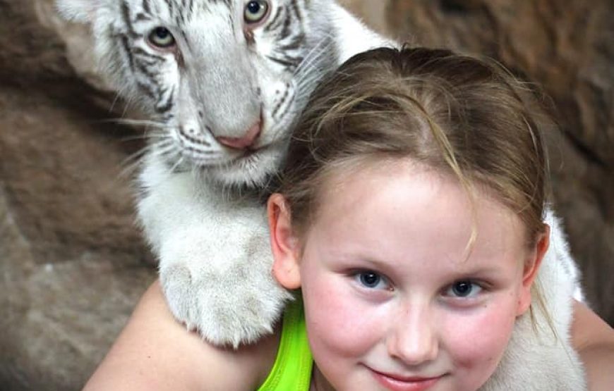 Hua-Hin Safari & Adventure Park