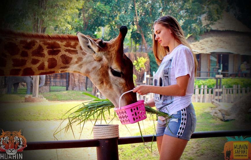 Hua-Hin Safari & Adventure Park