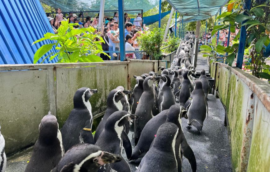 สวนสัตว์เปิดเขาเขียว