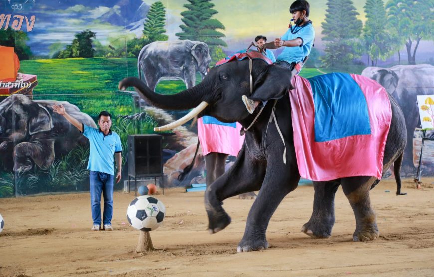 Sri Ayutthaya Lion Park