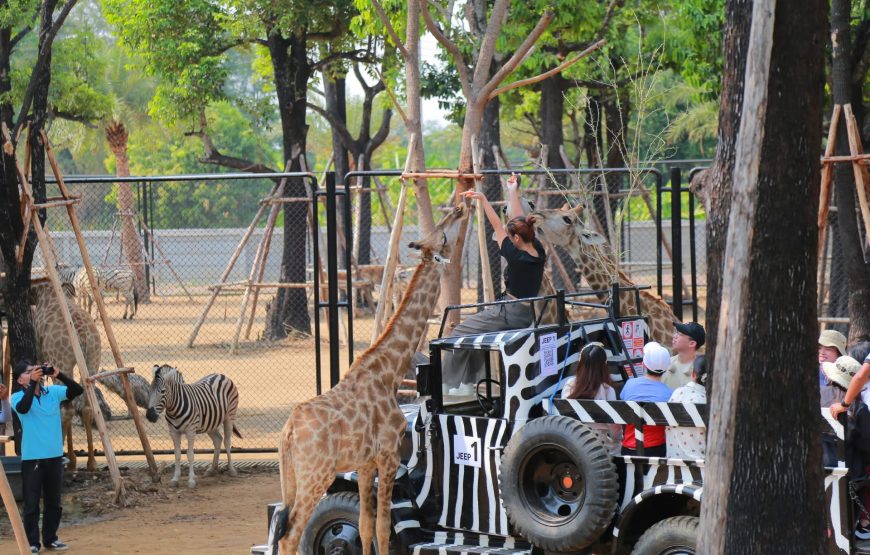 Sri Ayutthaya Lion Park