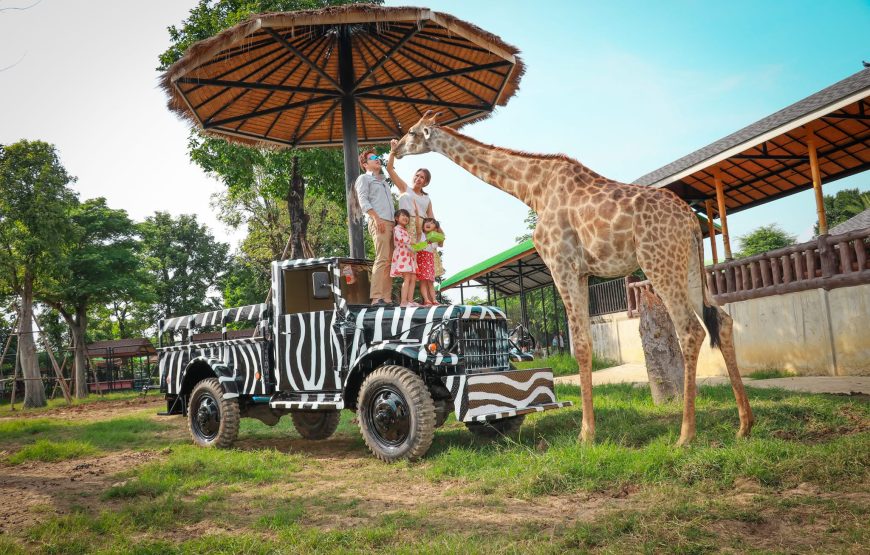 Sri Ayutthaya Lion Park