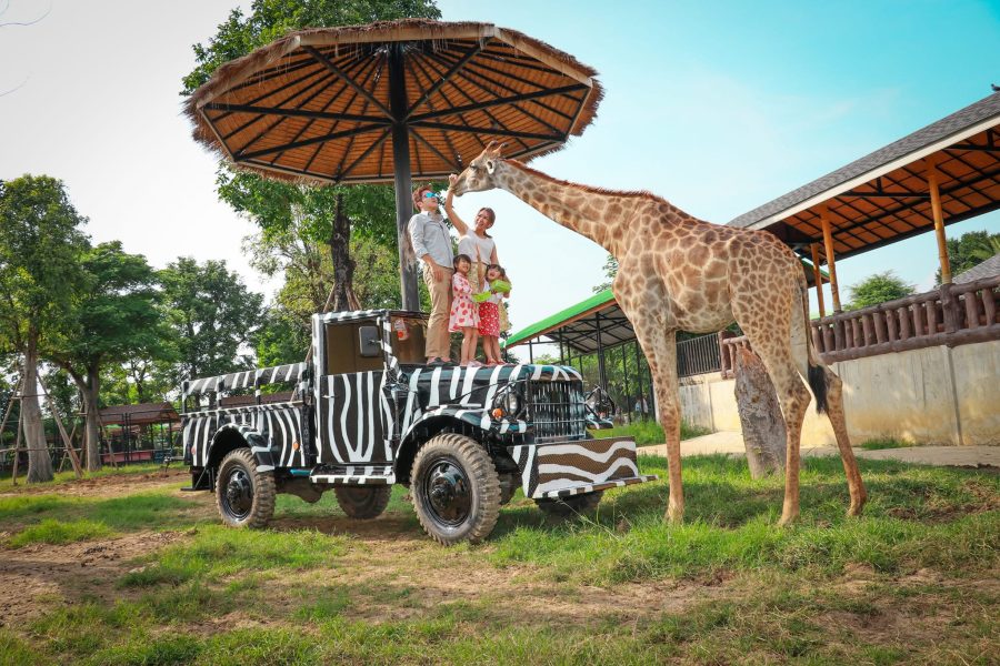 Sri Ayutthaya Lion Park