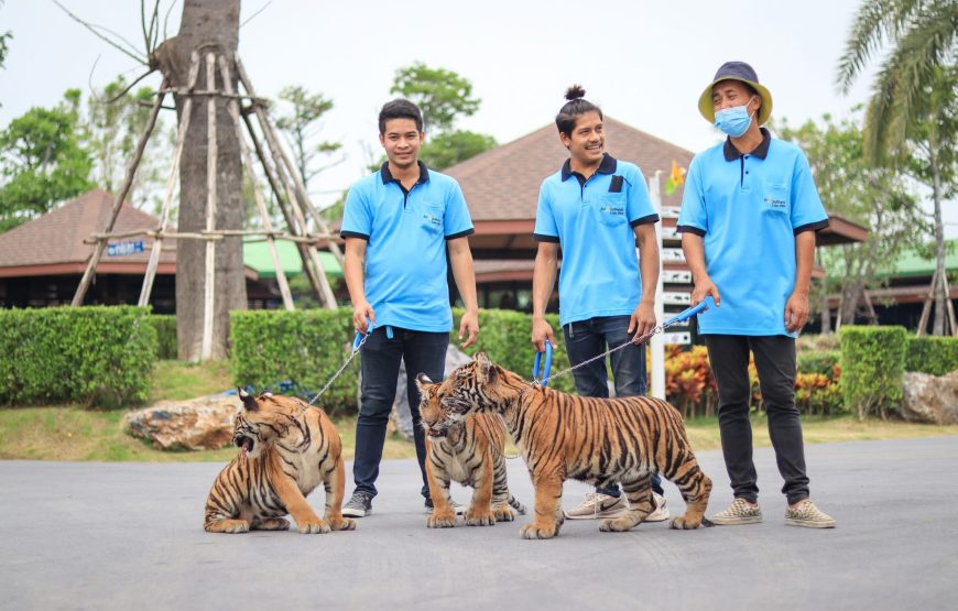 Sri Ayutthaya Lion Park