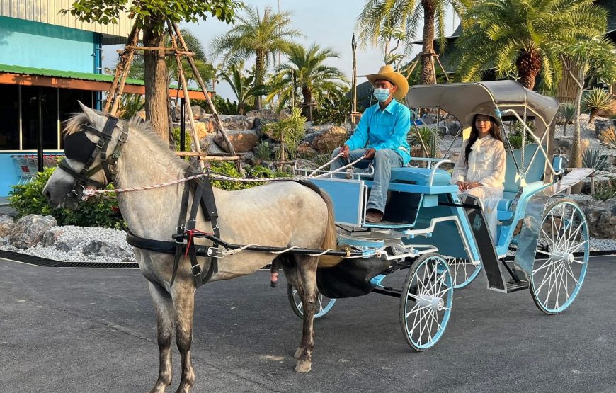 Sri Ayutthaya Lion Park