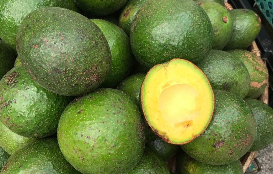 [เชียงราย] กาดหลวง วัดพระแก้ว วัดร่องเสือเต้น ลลิตา