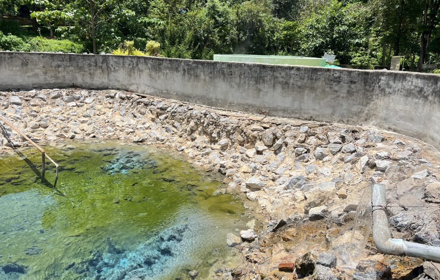 [เชียงราย] ปางช้างกะเหรี่ยงรวมมิตร บ่อน้ำพุร้อนบ้านผาเสริฐ วัดห้วยปลากั้ง