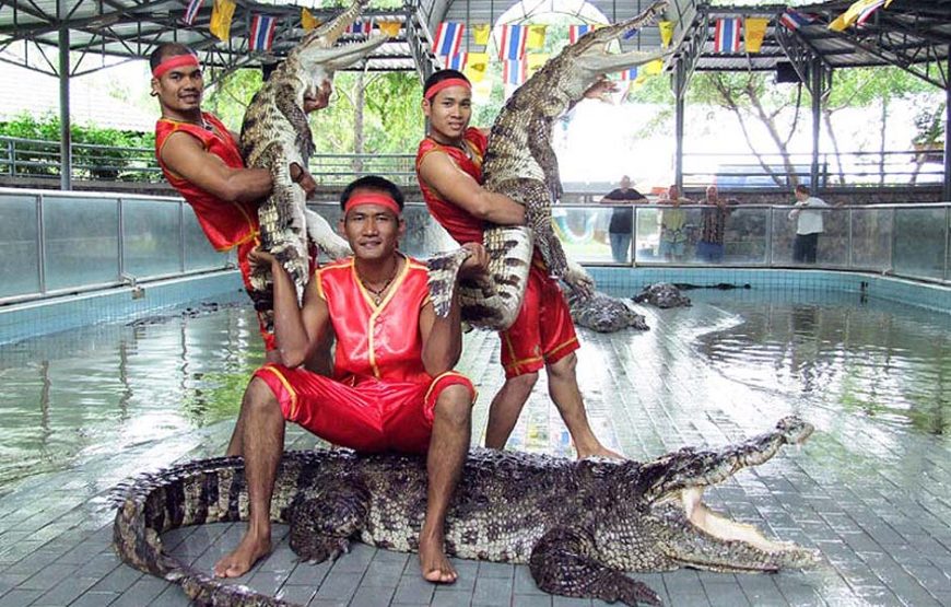 อุทยานหินล้านปีและฟาร์มจระเข้พัทยา