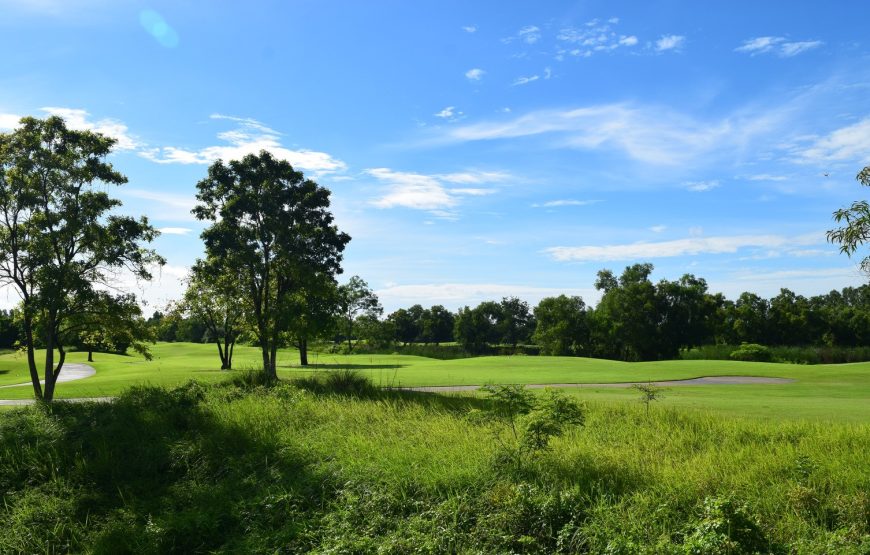 สนามกอล์ฟ อโยธยา ลิงค์ส