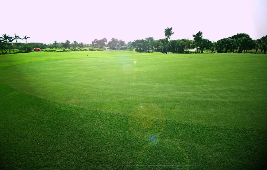 สนามกอล์ฟกรุงกวี