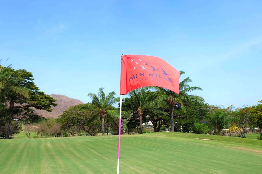 ปาล์ม ฮิลส์ กอล์ฟ คลับ
