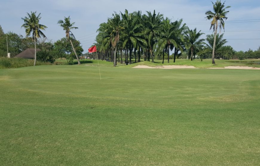 ธัญญะ กอล์ฟ คลับ