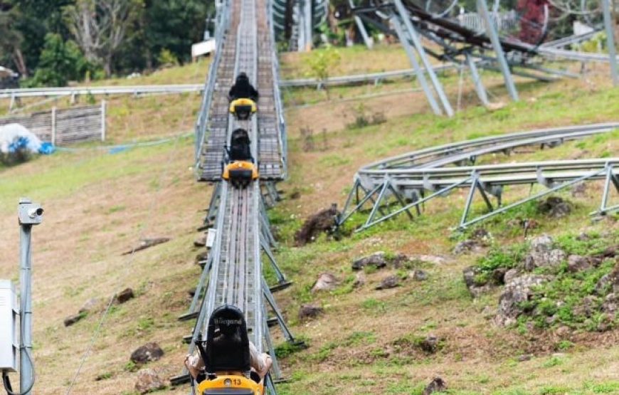 ทัวร์เชียงใหม่ 1 วัน (โปรแกรม 2)