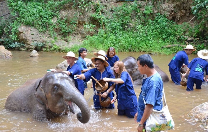 ทัวร์เชียงใหม่ 1 วัน (โปรแกรม 2)