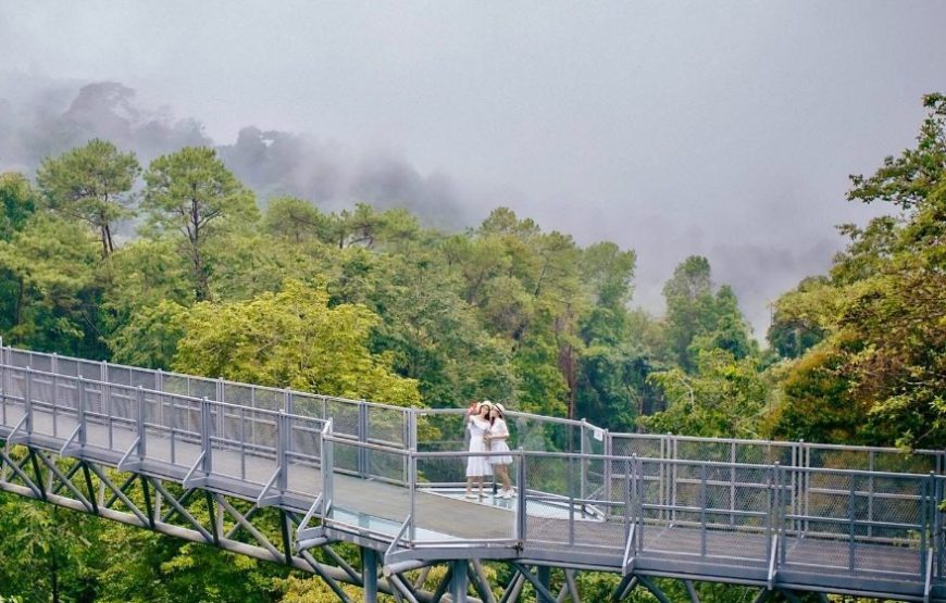 ทัวร์เชียงใหม่ 1 วัน (โปรแกรม 2)