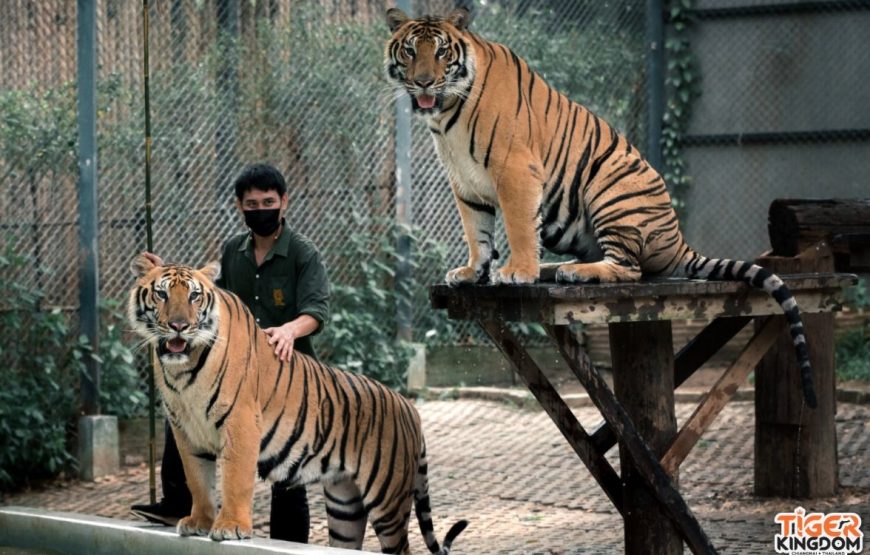 ทัวร์เชียงใหม่ 1 วัน (โปรแกรม 2)