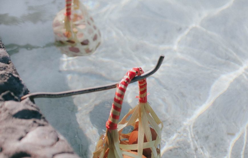 ทัวร์เชียงใหม่ 1 วัน (โปรแกรม 3)