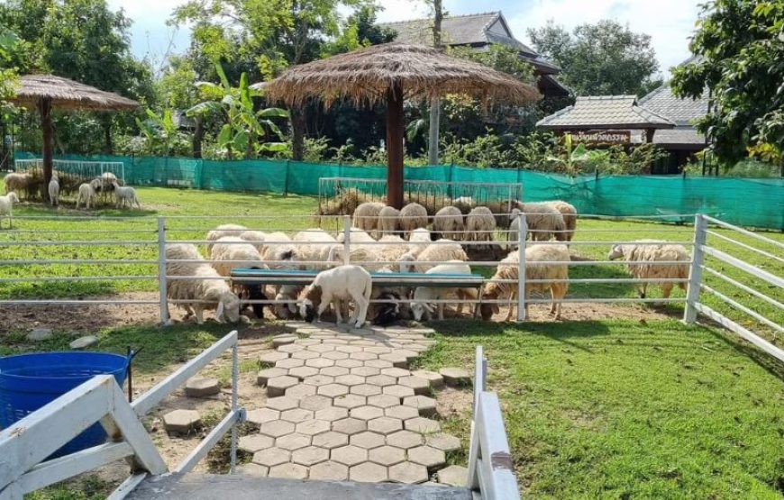 ทัวร์เชียงใหม่ 1 วัน (โปรแกรม 3)