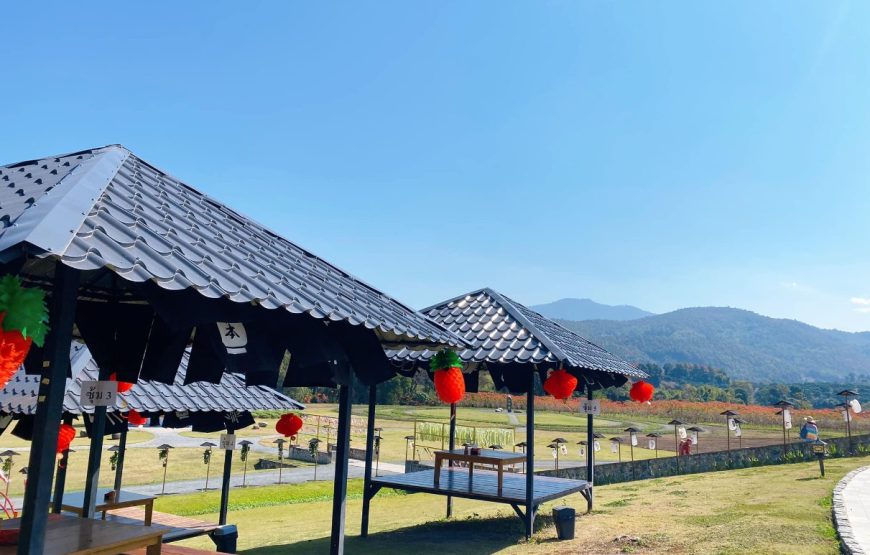 ทัวร์เชียงใหม่ 1 วัน (โปรแกรม 4)