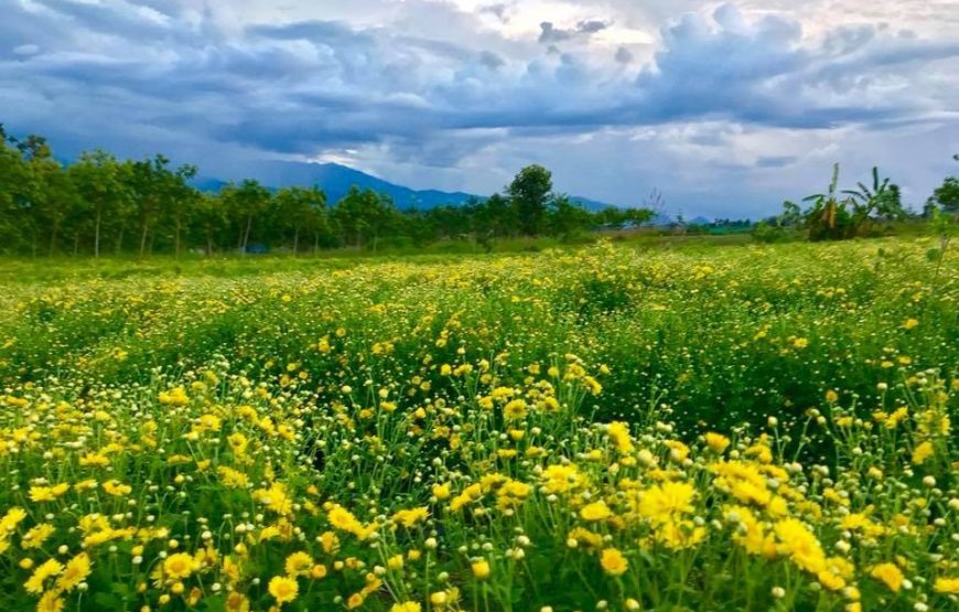 ทัวร์เชียงใหม่ 1 วัน (โปรแกรม 7)