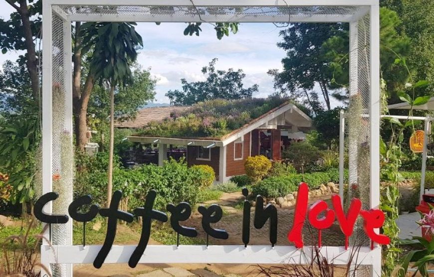 ทัวร์เชียงใหม่ 1 วัน (โปรแกรม 7)