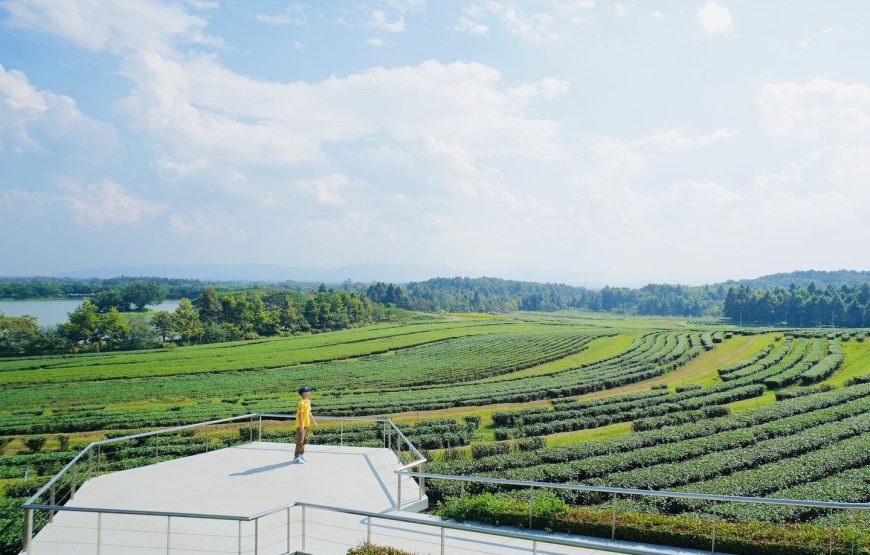 ทัวร์เชียงใหม่ 1 วัน (โปรแกรม 8)